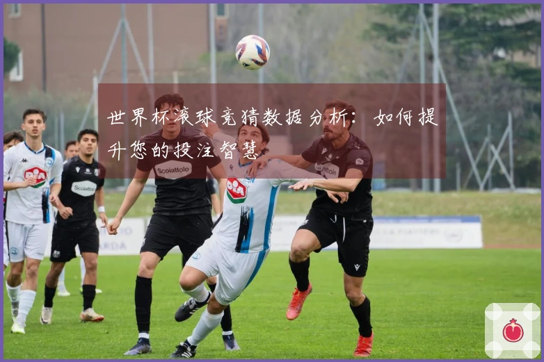 世界杯滚球竞猜数据分析：如何提升您的投注智慧
