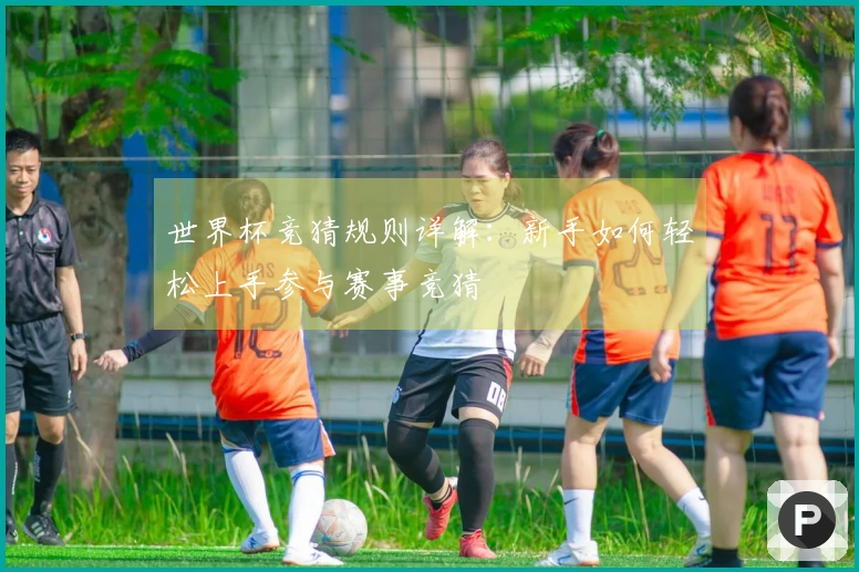 世界杯竞猜规则详解：新手如何轻松上手参与赛事竞猜