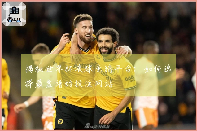 揭秘世界杯滚球竞猜平台:如何选择最靠谱的投注网站